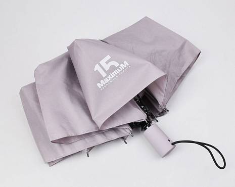 Пример работ «Зонты» №30