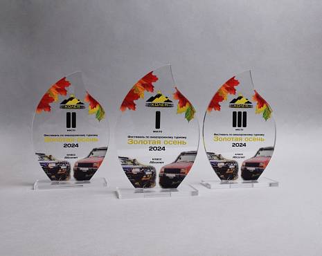 Пример работ «Награды» №81