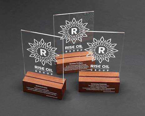 Пример работ «Награды» №50