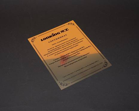 Пример работ «Шильды» №13