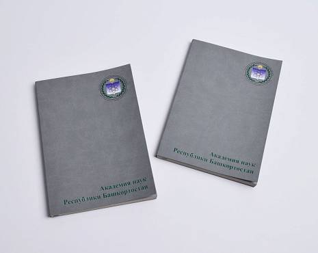 Пример работ «Ежедневники и блокноты» №24