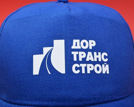 Пример работ «Технология DTF» №86