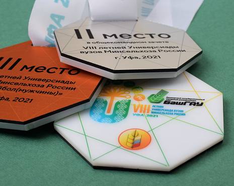 Пример работ «Медали» №24