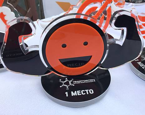 Пример работ «Награды» №23