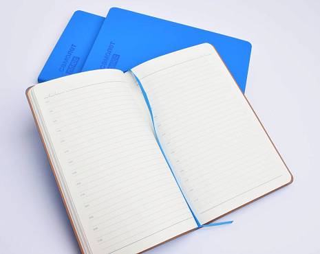 Пример работ «Тиснение» №10