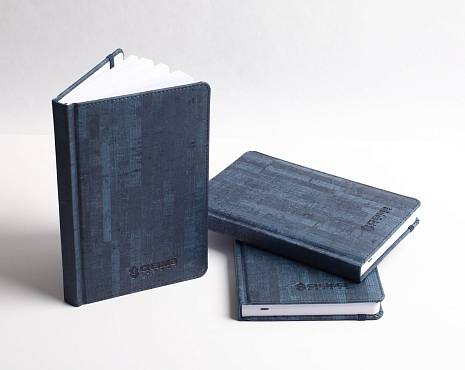 Пример работ «Ежедневники и блокноты» №34