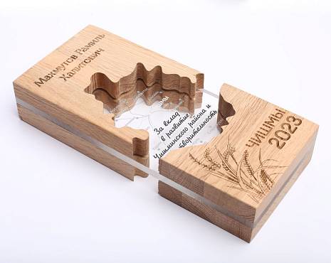 Пример работ «Награды» №67