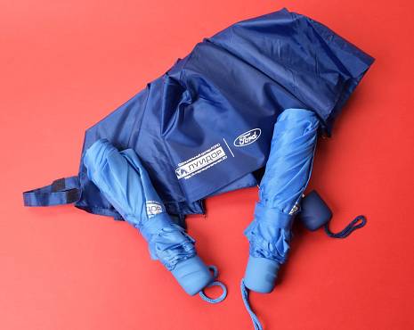 Пример работ «Зонты» №22