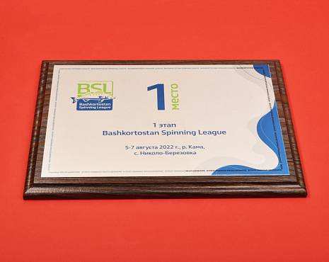 Пример работ «Подарочные плакетки» №11