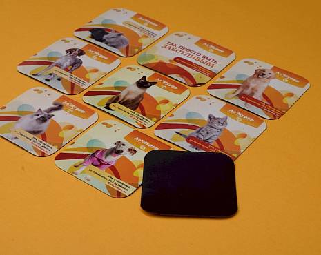 Пример работ «Магниты» №6