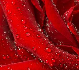 Изделия со смолой