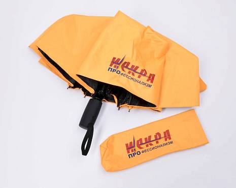 Пример работ «Зонты» №1