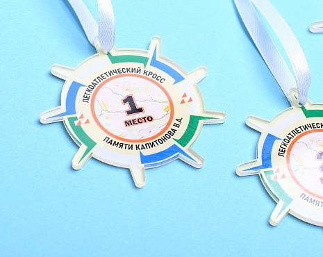 Пример работ «Медали» №35