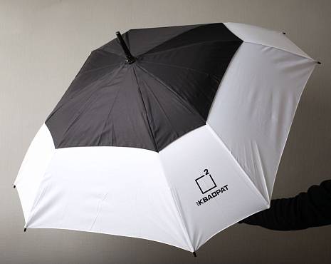 Пример работ «Зонты» №23