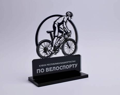 Пример работ «Мерч» №34