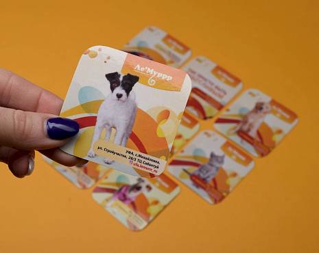 Пример работ «Магниты» №7