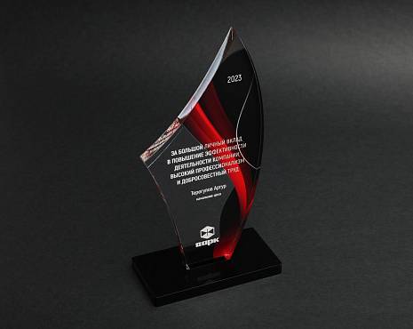 Пример работ «Награды» №65