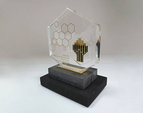 Пример работ «Награды» №21