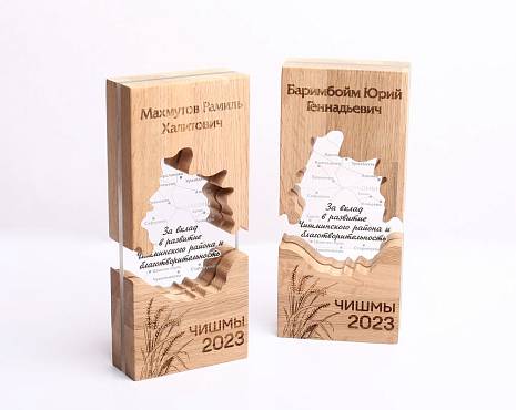 Пример работ «Награды» №68