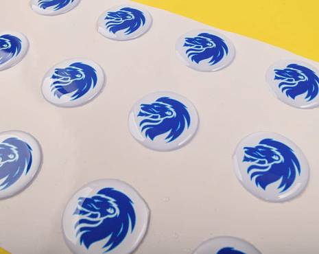 Пример работ «Наклейки со смолой» №11