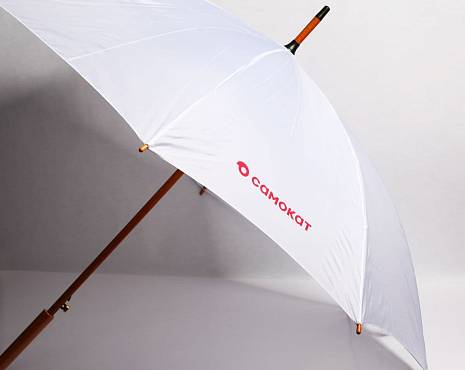 Пример работ «Зонты» №27