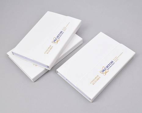 Пример работ «Ежедневники и блокноты» №76