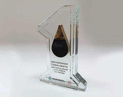 Пример работ «Награды» №22