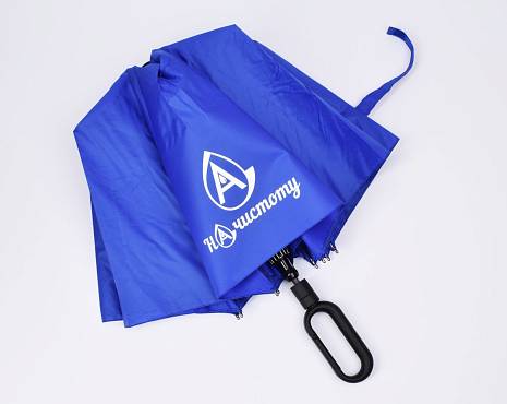 Пример работ «Зонты» №29