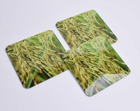 Пример работ «УФ-печать» №140