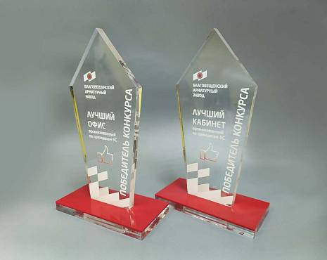 Пример работ «Награды» №17