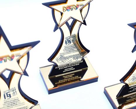 Пример работ «Награды» №36