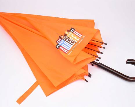 Пример работ «Зонты» №31