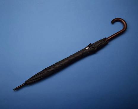 Пример работ «Зонты» №20