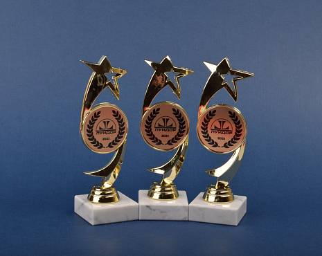 Пример работ «Награды» №27