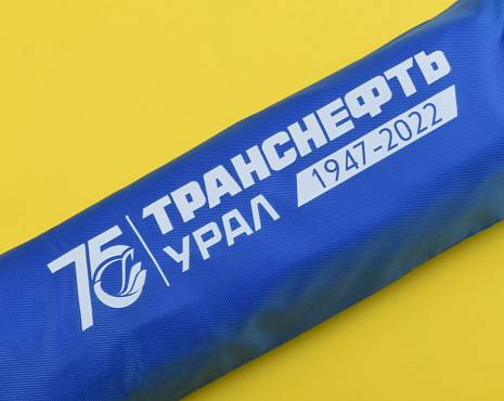 Пример работ «Зонты» №11