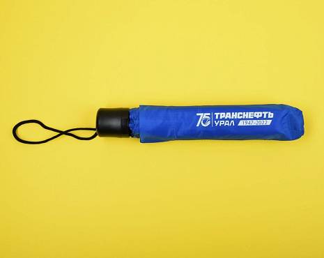 Пример работ «Зонты» №12