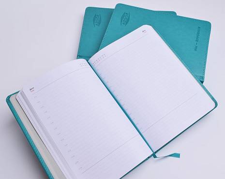 Пример работ «Ежедневники и блокноты» №83