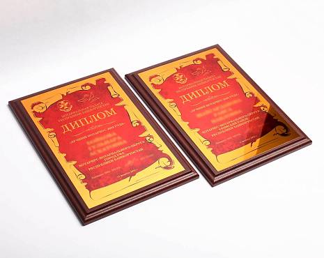 Пример работ «Сублимация» №16