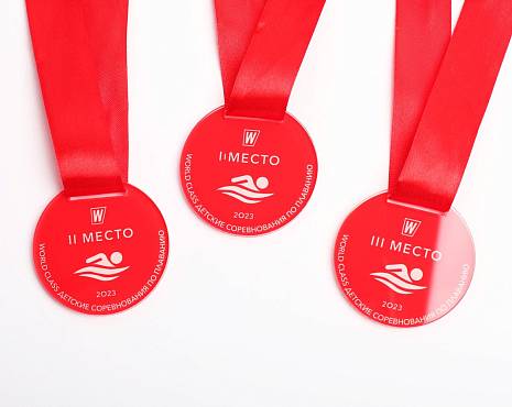 Пример работ «Медали» №37