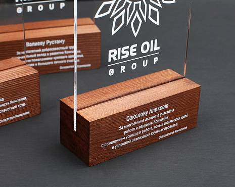 Пример работ «Награды» №49