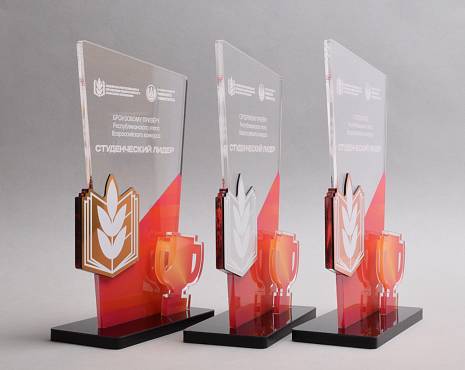 Пример работ «Награды» №1