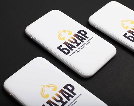 Пример работ «Электроника» №45