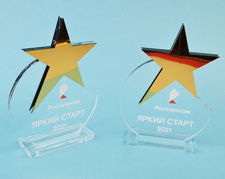 Пример работ «Награды» №34