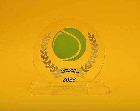 Пример работ «Награды» №44